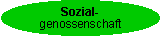 Sozialgenossenschaft